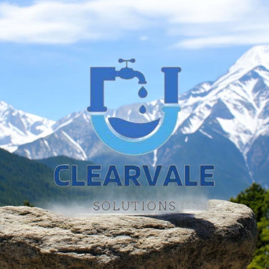 Why You Should Choose Clearvale Solution's POE Filtration Systems?